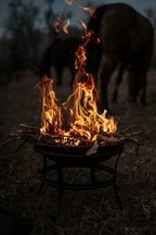 22 Inch Wood Burning Fire Pit